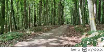 ikov - 432 040 + 145 = 432 185

Wieczorem nie wiedziałem, że rano będę mógł pojeździć...