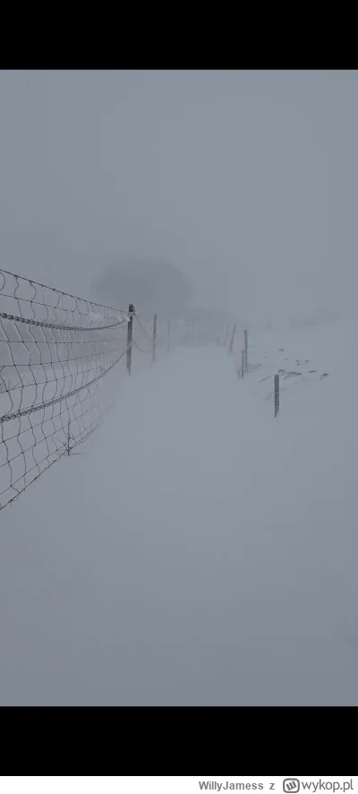 WillyJamess - @Torian Klatka z mojego filmu z 16 maja xD