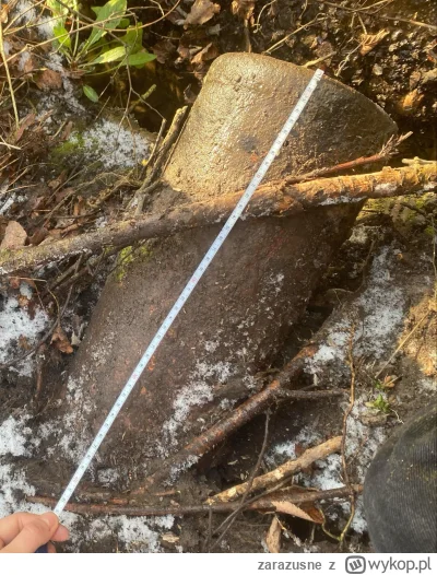 zarazusne - Hejko Mirki, natknęłam się z siostrą w lesie na coś takiego. Czy powinnyś...