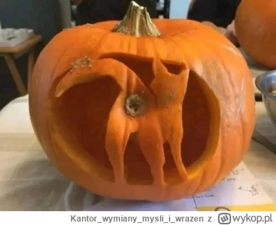 Kantorwymianymysliiwrazen - @Tyrande: Już gdzieś to widziałam.(⌒(oo)⌒)