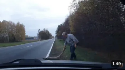 lechulechu - A kierowcy też będą przez policję SUROWO karani. Za sarny, za dziki, za ...