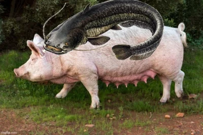 bialykruczek - #kononowicz 

Scrolluj dalej, to tylko sum ujeżdża maciorę.