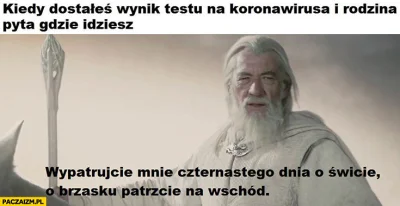 nonOfUsAreFree - Pierwsza fala - to byli czasy ( ͡° ͜ʖ ͡°)
#wladcapierscieni #covid19...