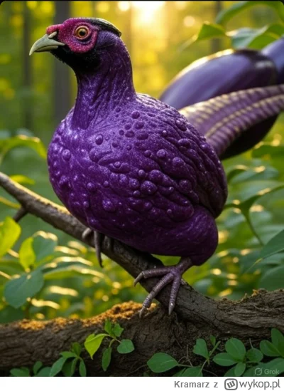 Kramarz - Jakby ktoś był ciekaw, to tak może wyglądać Bakłażant
(przejęzyczenie rozow...