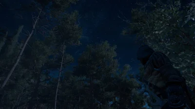Ninja_xtb5 - #przegryw #assassinscreed
nocne łażenie po lesie
