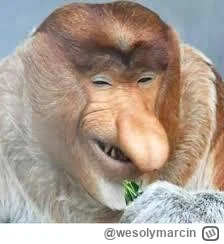 wesolymarcin - @g500: