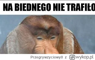 Przegrywzyciowy0