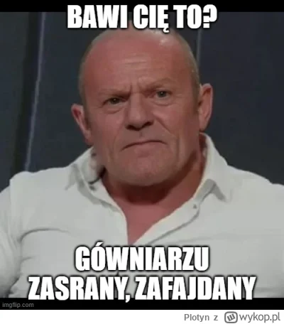Plotyn - #wybory #polityka #heheszki