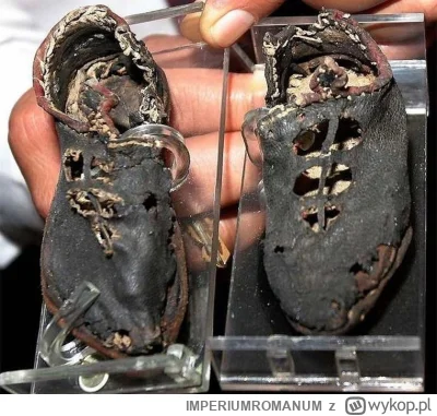 IMPERIUMROMANUM - Dziecięce buty z Palmyry

Liczące niemal 2000 lat rzymskie dziecięc...