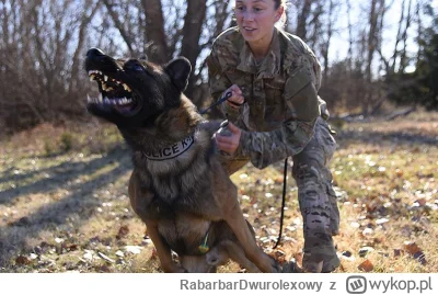 RabarbarDwurolexowy - #grzegorzborys #gdynia #policja #psy
nie śledzę za bardzo, ale ...