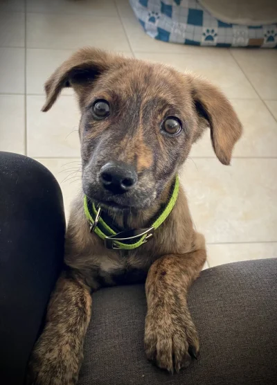 asdfghjkl - @dos_badass: ( ͡º ͜ʖ͡º)