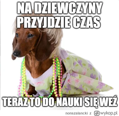 nonszalancki - matka jamnik nowym memem
#przegryw