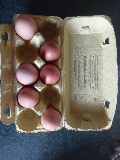 DoBiedryIdeAlboNieIde - #pytanie
Mirki, czy Wy też, jak wyciągacie jajka z opakowania...