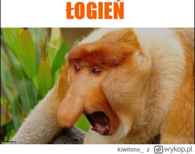 kiwitime_ - @marek2092