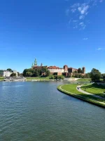 littlebuzz - Mirki pijcie ze mną kompot, po kilku podejściach do studiów, w ten weeke...