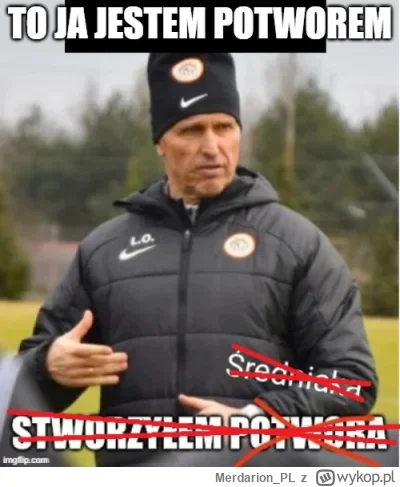 Merdarion_PL - #mecz #dolnoslaskitygrys