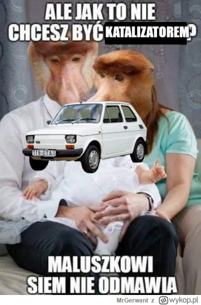 MrGerwant - #konkursnanajbardziejgownianymemznosaczem #sztukadlasprawiedliwych