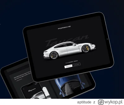aptitude - Zobaczcie na co niechcący wpadłem, Porsche pomaga twórcą stron internetowy...