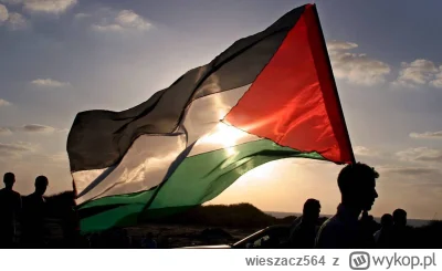 wieszacz564 - #konfederacja #izrael #polityka #braun Korzystając z okazji pragnę z te...