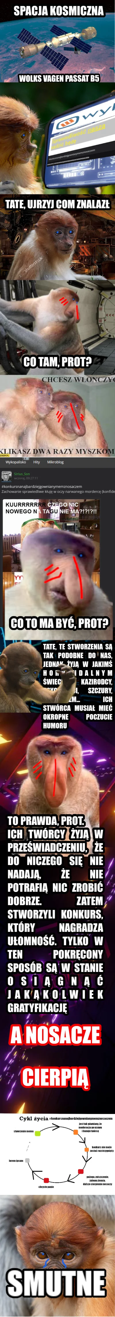 dziwnyczlowiek - W tym odcinku będziemy zgłębiać prawdę.
#nosaczsundajski #nosaczfeel...