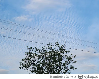 MamDobreGeny - Jaki to rodzaj chmur?

#chmury #meteorologia i pewnie też #lotnictwo i...