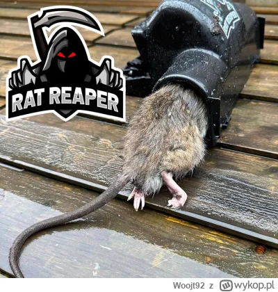 Woojt92 - Szczurze gdzieś ty wszedł...
#meczennicyxtb  #xtb #gielda