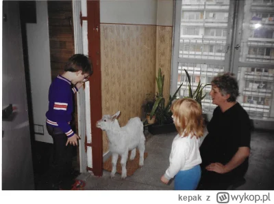 kepak - #heheszki #lata90 #chwalesie

Właśnie skanuje stare zdjęcia rodzinne i przypo...