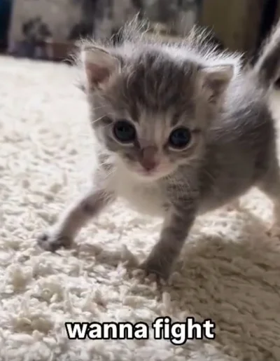 wybryk_natury - #zlodziejskiewybryki