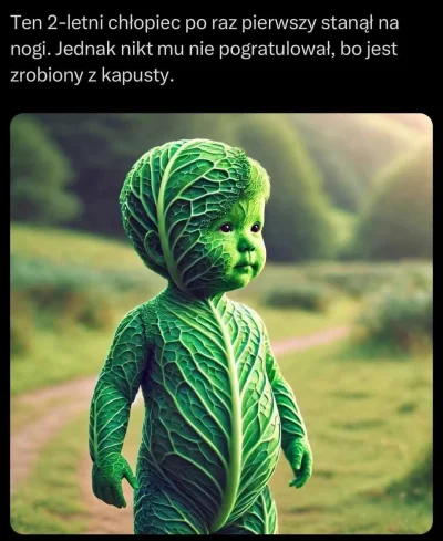 hibiskusmiumieraa - #gownowpis