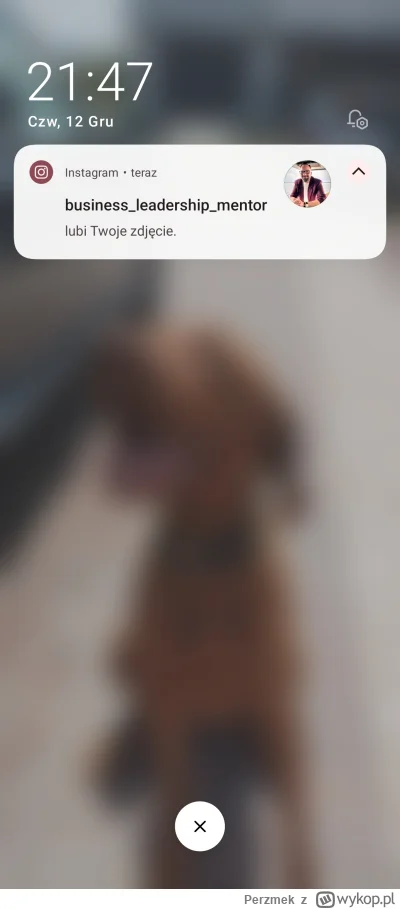 Perzmek - Los się do mnie uśmiechnął, mam nadzieję, że zapyta mnie czy chce wykupić k...