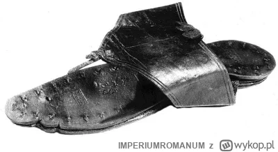 IMPERIUMROMANUM - Bardzo dobrze zachowany rzymski klapek

Jeden z lepiej zachowanych ...