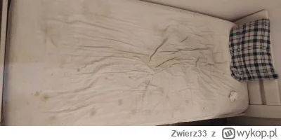 Zwierz33 - Kiedyś jak huop był na czymś w rodzaju domków z agencji pato jak @jezdzile...