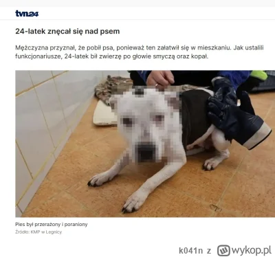 k041n - Po kiego h--a wypikselowali pysk temu psu?

#psy #tvn24 #psiarze #patologia