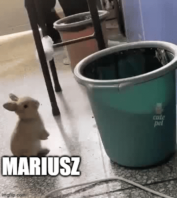 g0blacK - #raszei #danielmagical #patostreamy