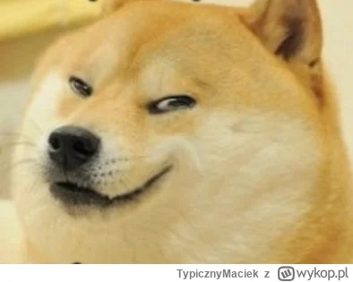 TypicznyMaciek - @rozowyslonikx: Musisz wysłać zdjęcie, abyśmy mogli kompleksowo rozp...