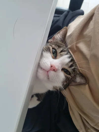 b0dyload - @b0dyload: wściekłam się!