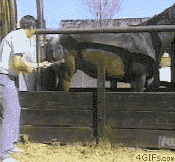 boolProptestingCheatsEnabledtrue - @piggy_piggy znajdź rużnice