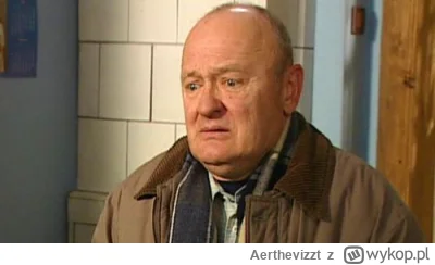 Aerthevizzt - Zmarł serialowy Grzyb - Maciej Damięcki. Miał 79 lat.

#plebania