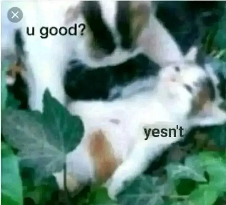 TurboMasturbator2000