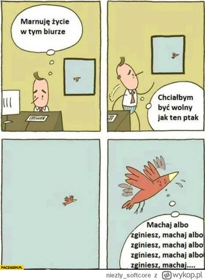 niezly_softcore - >@jalop: i bardzo dobrze ja od tygodnia podciągam się codziennie o ...