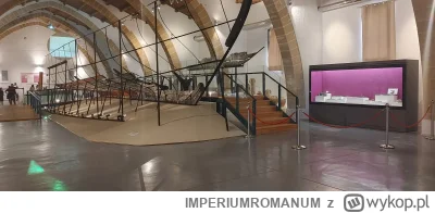 IMPERIUMROMANUM - Wrak punickiego statku wojennego z Marsali

W 1971 roku, w porcie s...