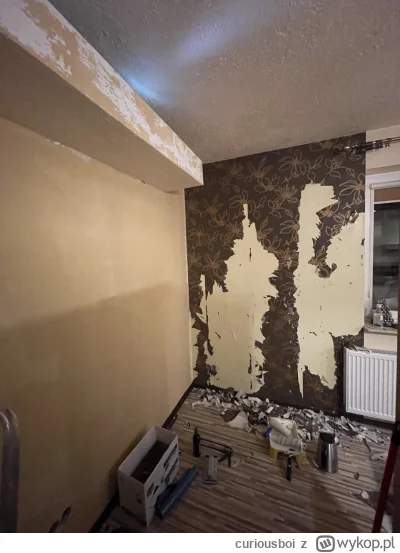 curiousboi - Zdzieramy tapety w salonie, wszędzie zeszła bezinwazyjnie nawet bez nama...