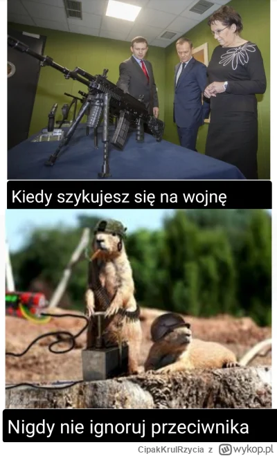 CipakKrulRzycia - #heheszki #bobry #polityka #powodz