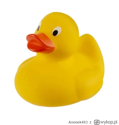 Anonek463 - Analizowałem dziś zadanie z #chatgpt. Chat zasugerował mi kupienie gumowe...