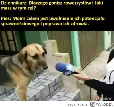 kapy_kulu - Przekaz dla Czarnka - nie zamulaj na rowerze

#polityka 
#bekazpisu
#hehe...