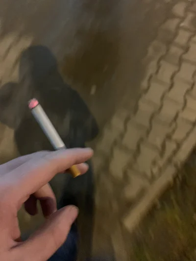 lvbie_placki - #przegryw idę i se szlunie pale