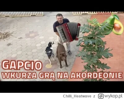 Chilli_Heatwave - #raportzpanstwasrodka #popaswpieprz 

Złoto od kolegi @pelt , ja da...