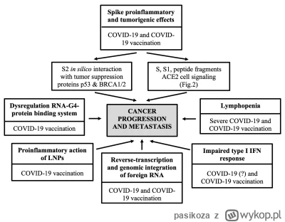 pasikoza - @yannikto: https://www.cureus.com/articles/209584-sars-cov-2-vaccination-a...