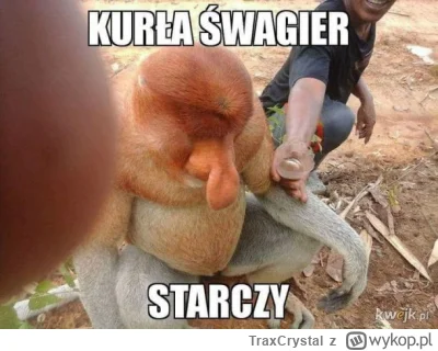 TraxCrystal - ( ͡° ͜ʖ ͡°)
#mecz