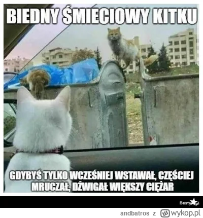 andbatros - Jak Was nie stać na kredyt to weźcie kredyt na kredyt. ELO.
Trzeba było z...